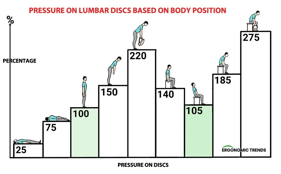 Lower Back Chart